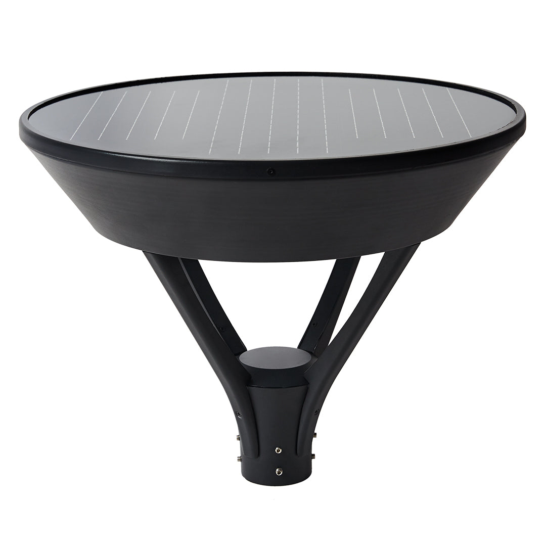 Solar Pedestrian Light