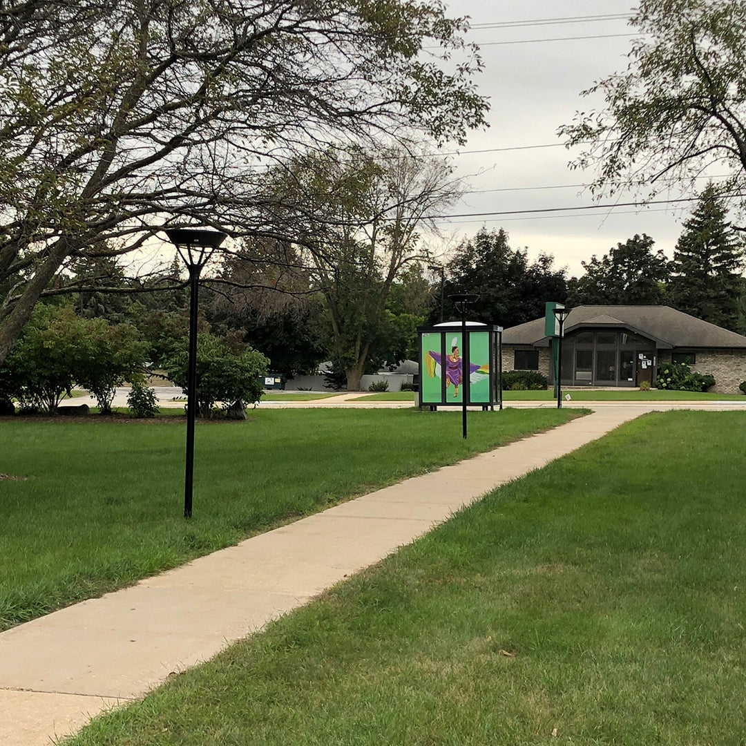 Solar Pedestrian Light