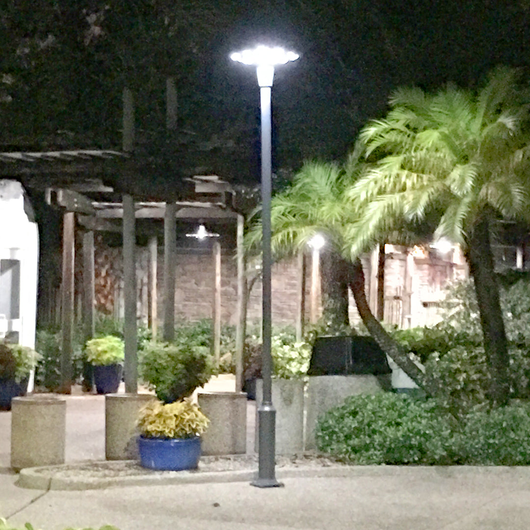 Solar Pedestrian Light