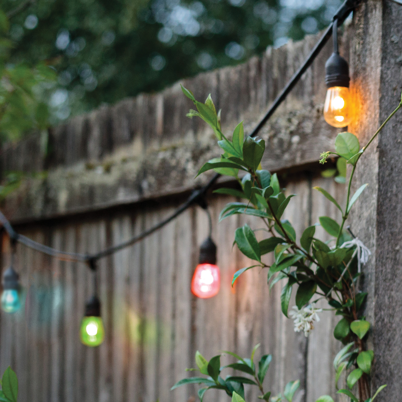 4-Pin S14 LED RGB and Warm White String Light Bulb