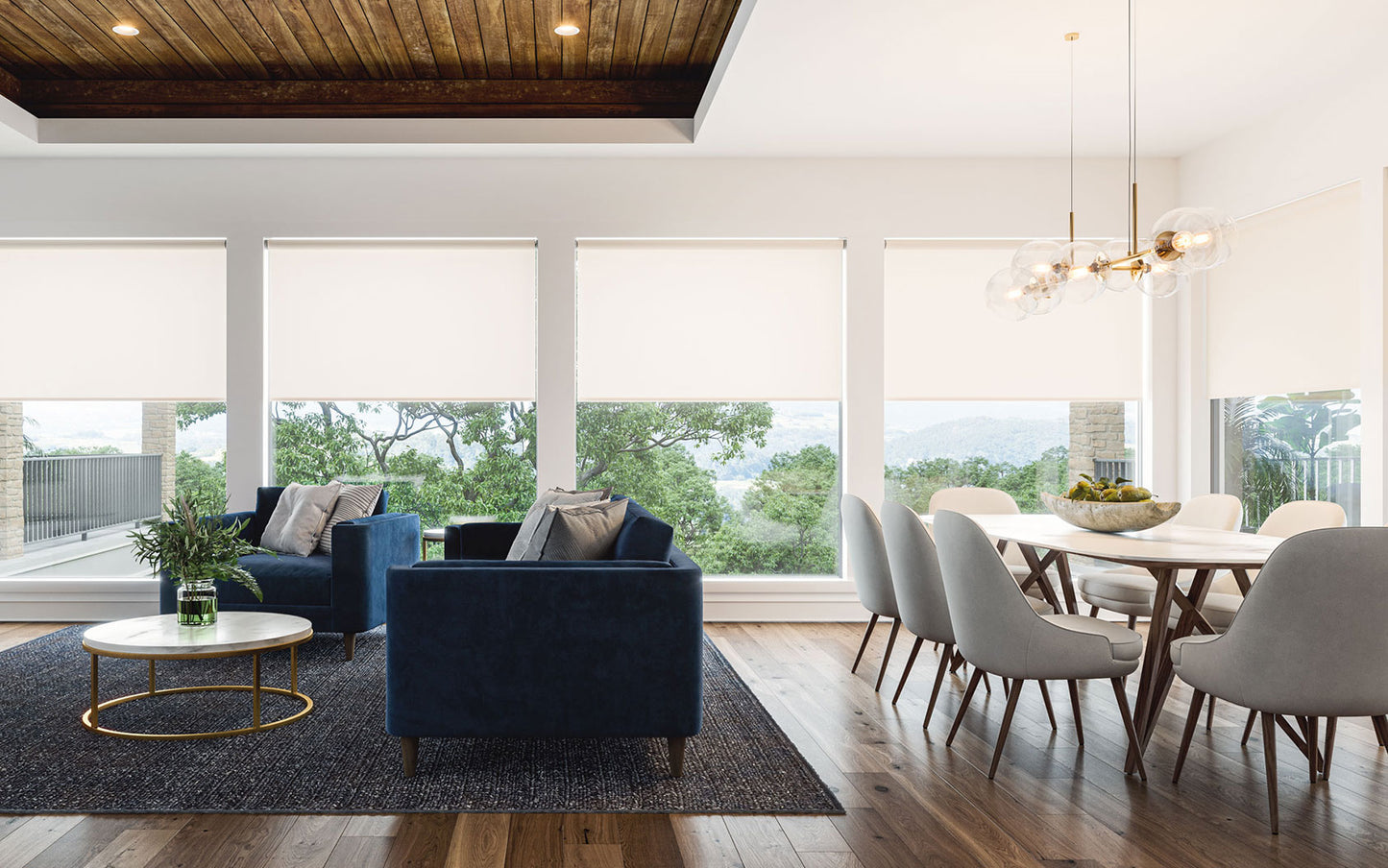 Nano Roll Window Shades