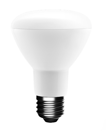 LED BR Bulb